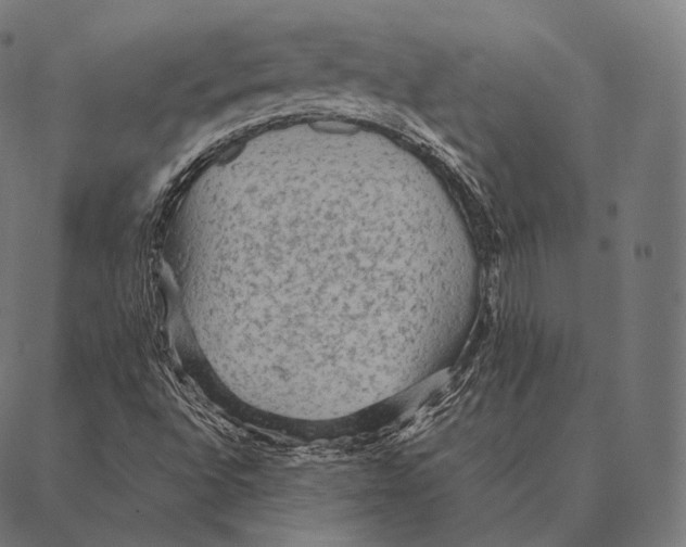 X0000087371496200705181203