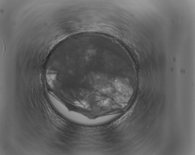 X0000087371497200705181203