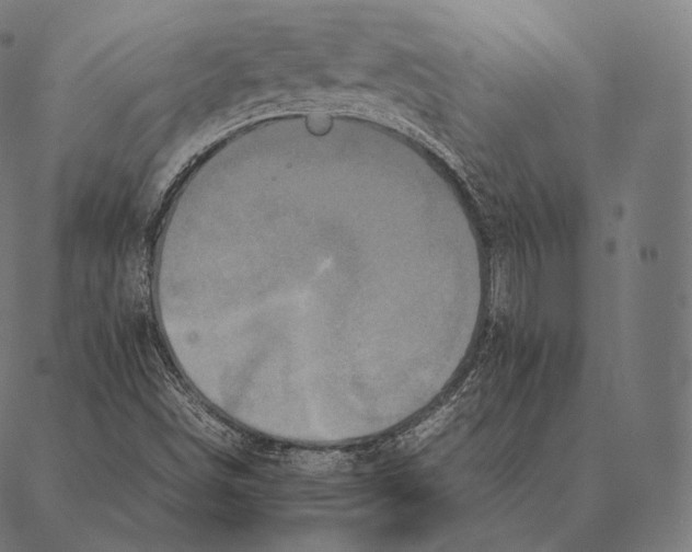 X0000087371498200705181203