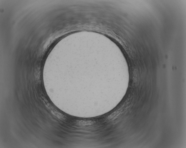 X0000087371499200705181203