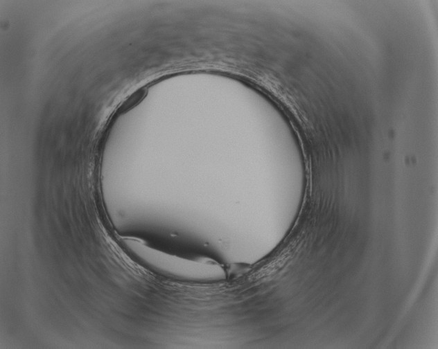 X0000087371500200705181203