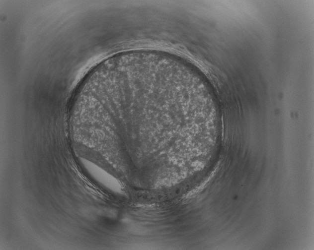 X0000087371501200705181203