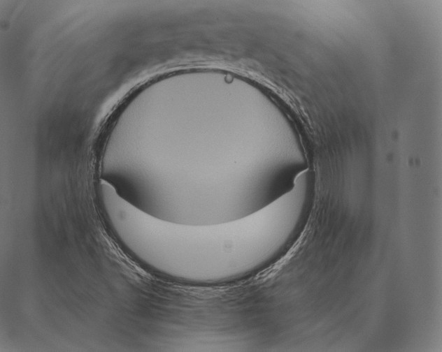 X0000087371502200705181203