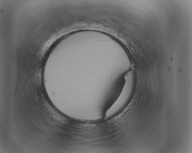 X0000087371503200705181203