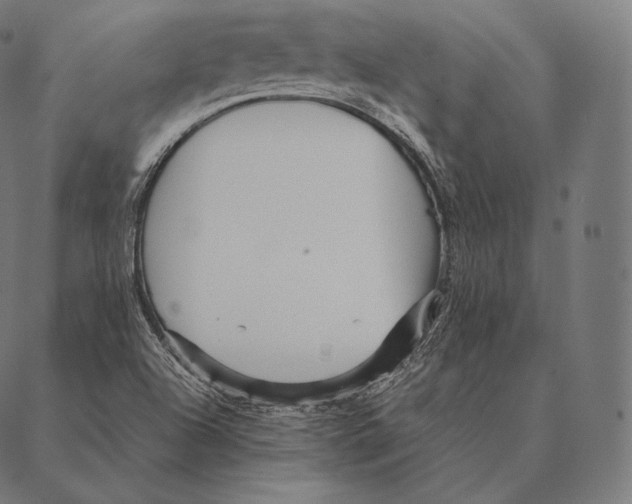 X0000087371504200705181203