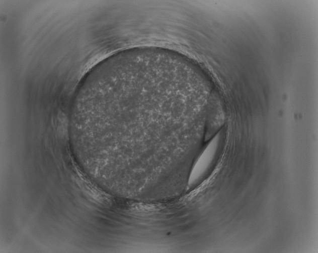 X0000087371505200705181203