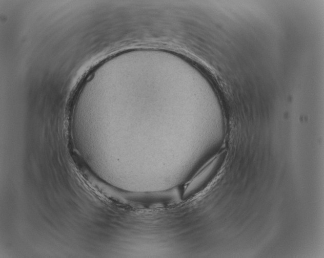 X0000087371506200705181203