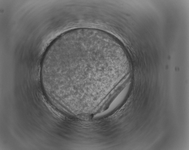 X0000087371507200705181203