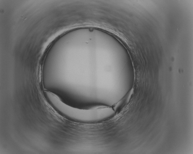 X0000087371510200705181203