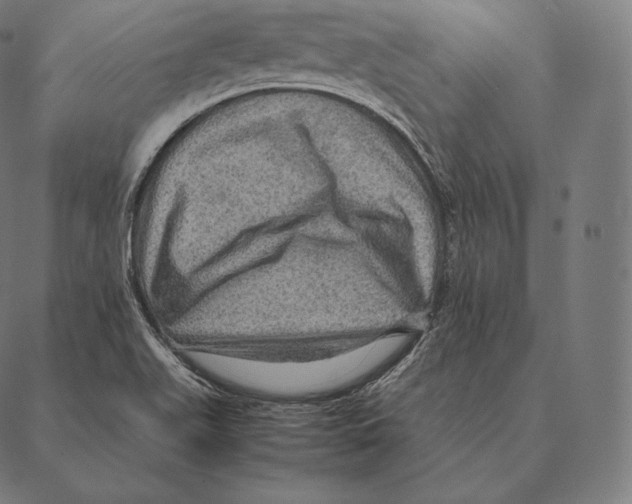 X0000087371511200705181203