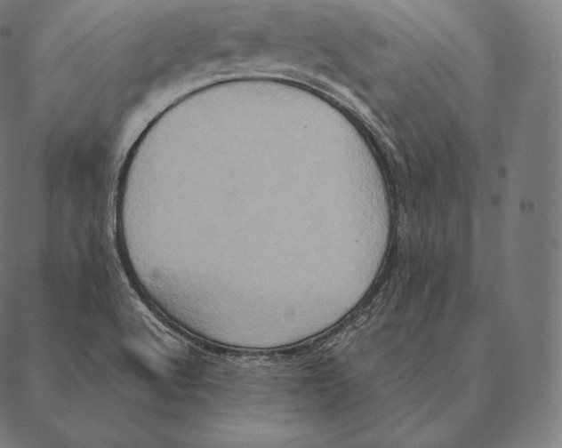 X0000087371512200705181203