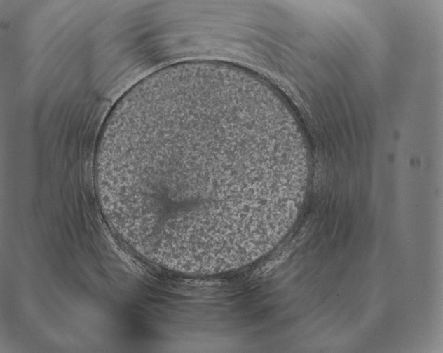 X0000087371513200705181203