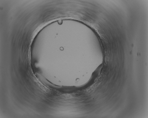 X0000087371516200705181203