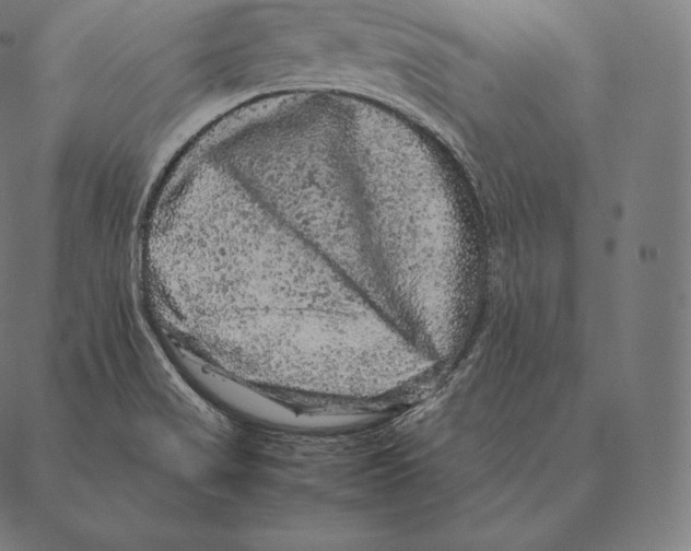 X0000087371517200705181203