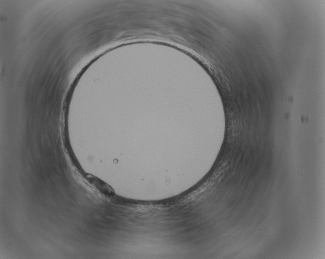 X0000087371518200705181204