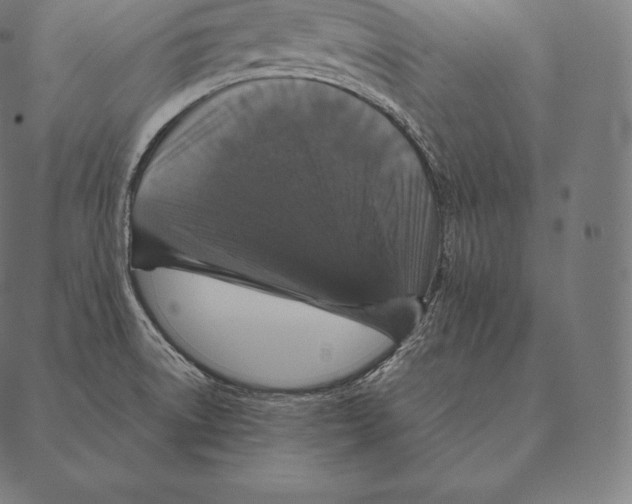 X0000087371522200705181204