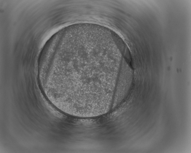 X0000087371523200705181204