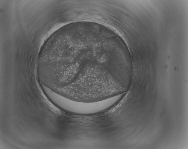 X0000087371525200705181204