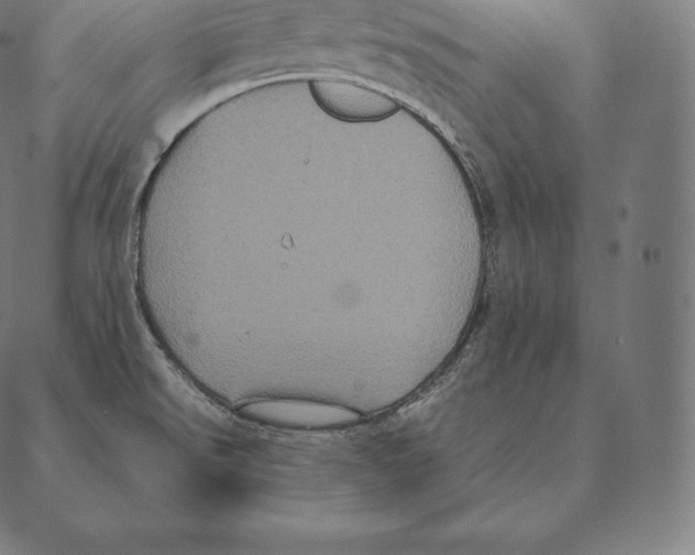 X0000087371526200705181204