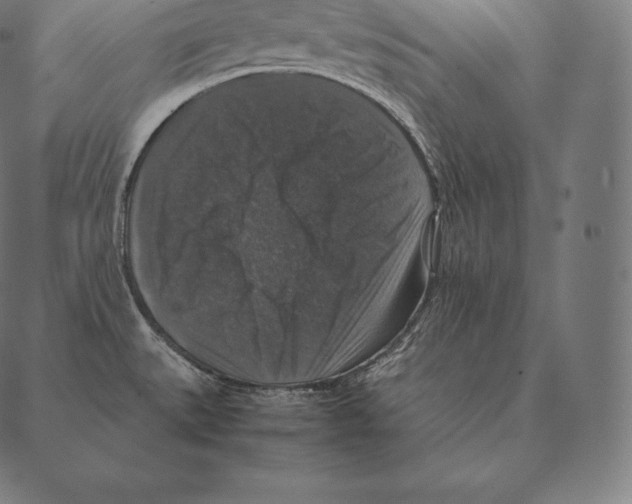 X0000087371527200705181204