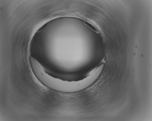 X0000087371528200705181204