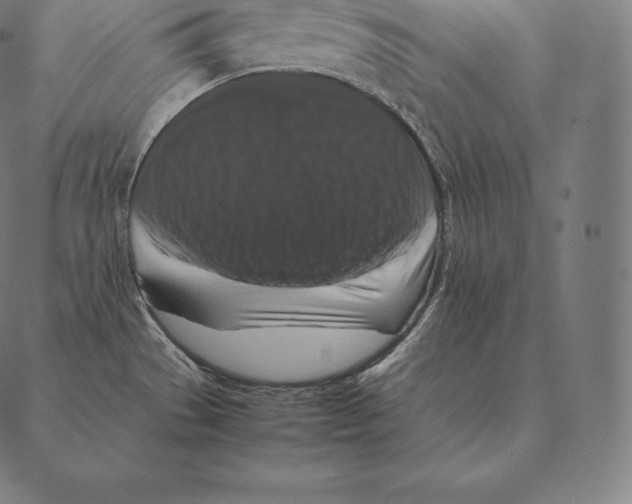 X0000087371529200705181204