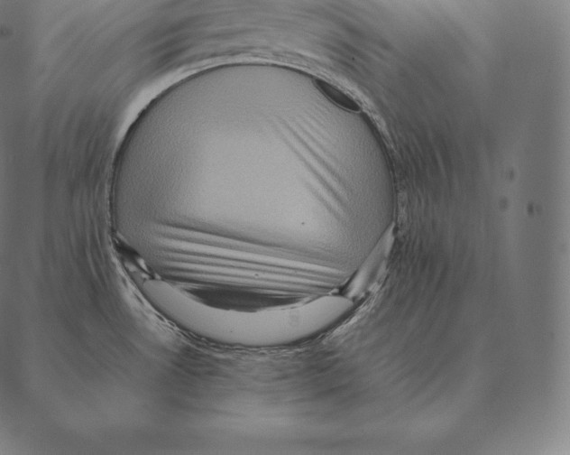 X0000087371530200705181204