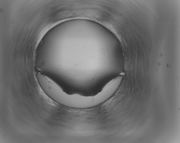 X0000087371532200705181204