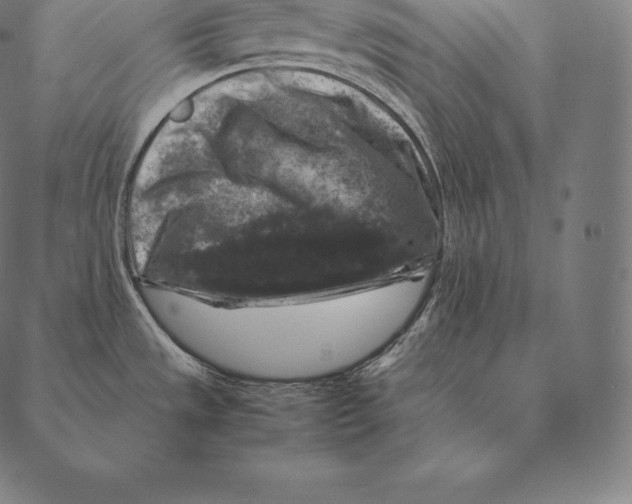 X0000087371533200705181204