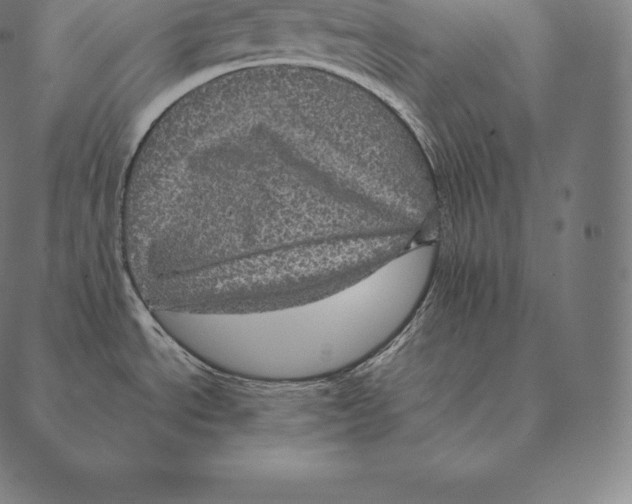 X0000087371534200705181204