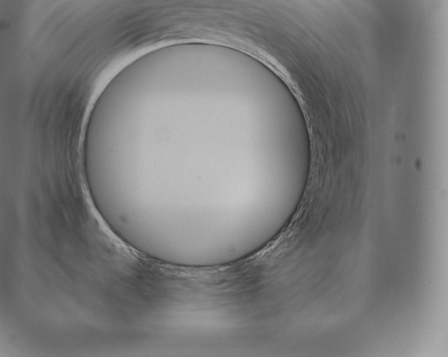 X0000087371536200705181204