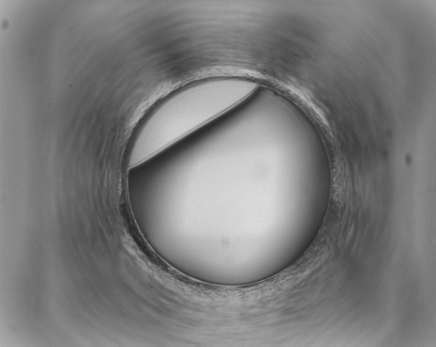 X0000087380015200704200854