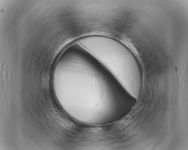 X0000087380108200704200853