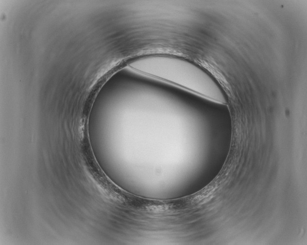 X0000087380160200704200851