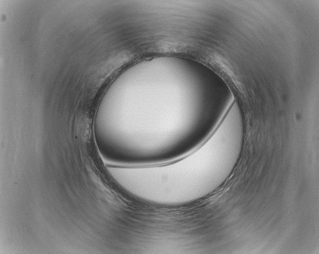 X0000087380164200704200852