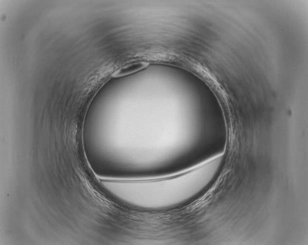 X0000087380201200704200851