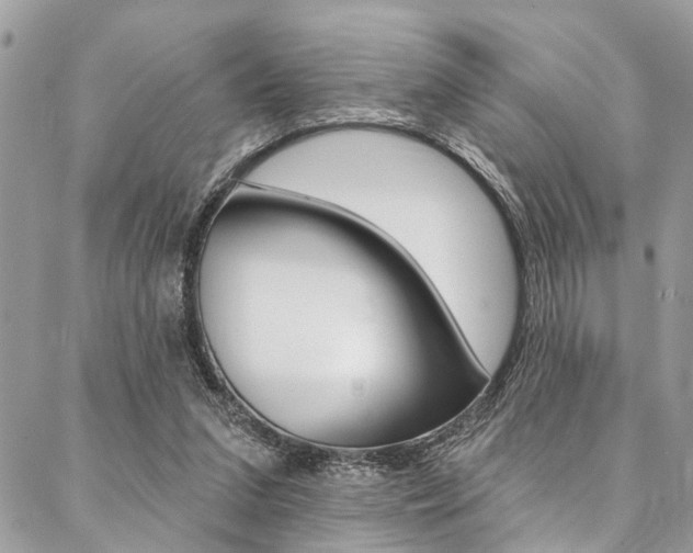X0000087380207200704200851