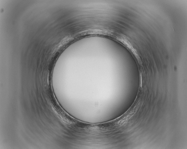 X0000087380253200704200850