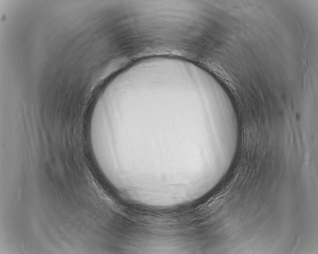 X0000087380256200704200850