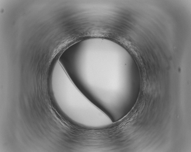 X0000087380299200704200849