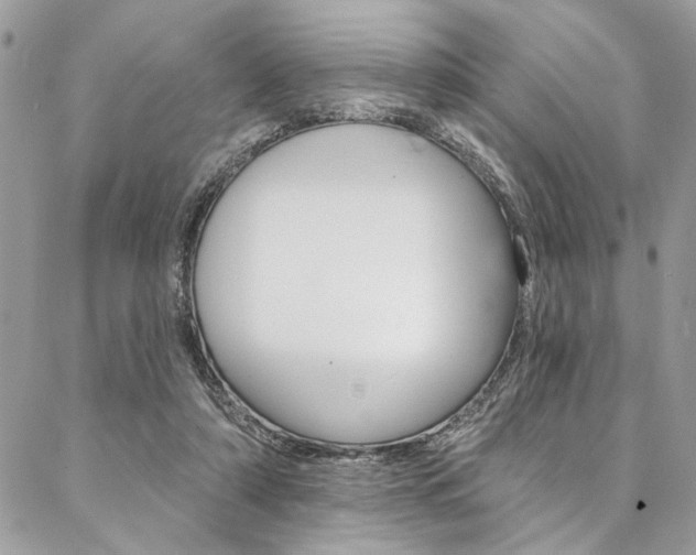 X0000087380306200704200849