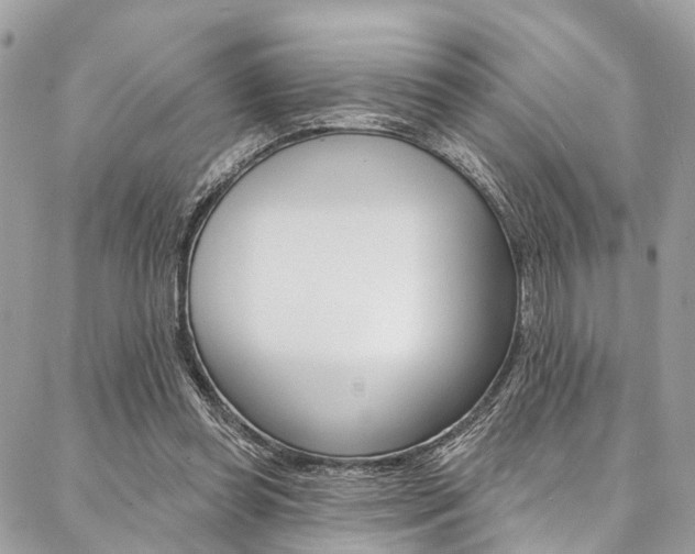 X0000087380349200704200848