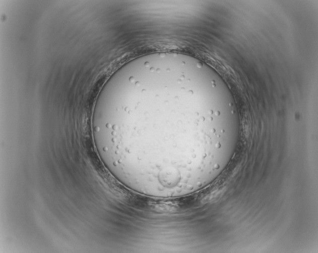 X0000087380359200704200848