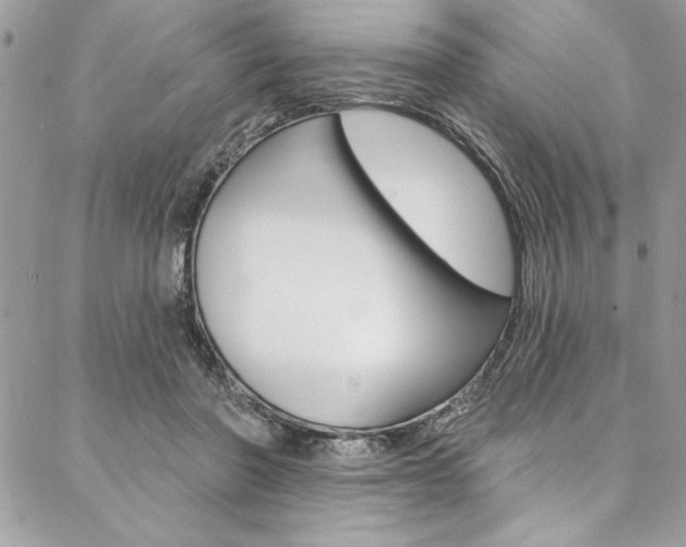 X0000087380406200704200848