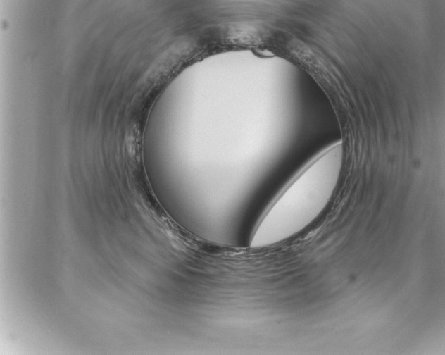 X0000087380424200704200847