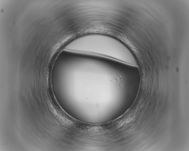 X0000087380446200704200847