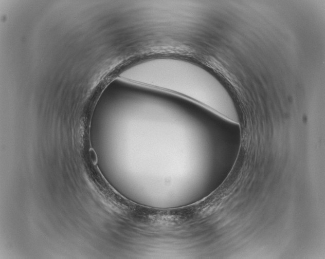 X0000087380448200704200847