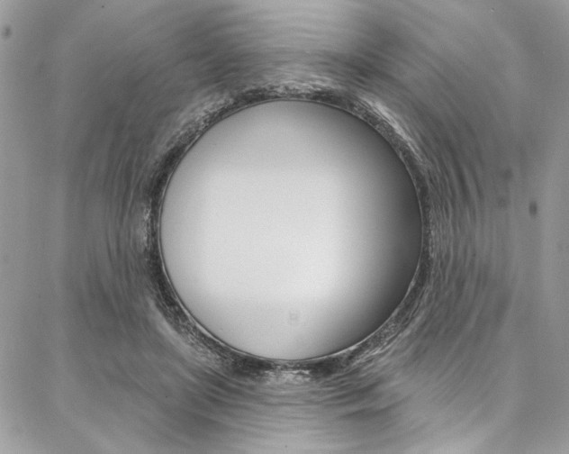 X0000087380451200704200847