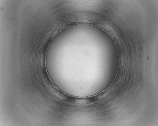 X0000087380457200704200847