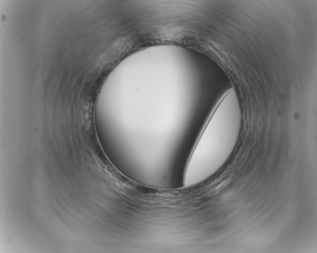 X0000087380462200704200847
